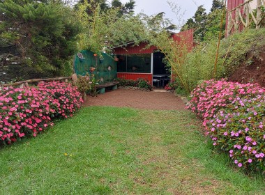 Foto con area verde hacia una cabina